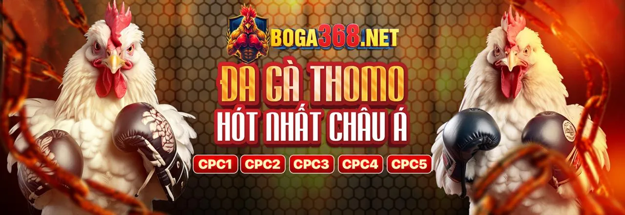Giao diện ứng dụng 8KBet với các chương trình khuyến mãi 8kbet hấp dẫn